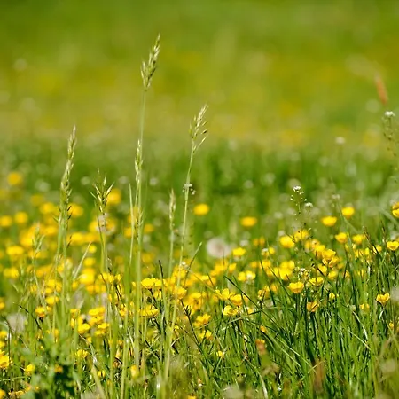Apartment Kasperhof 6 - 7
