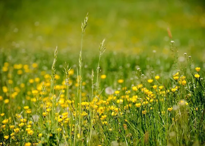 公寓 因斯布鲁克托普6-7号卡斯珀霍夫公寓酒店